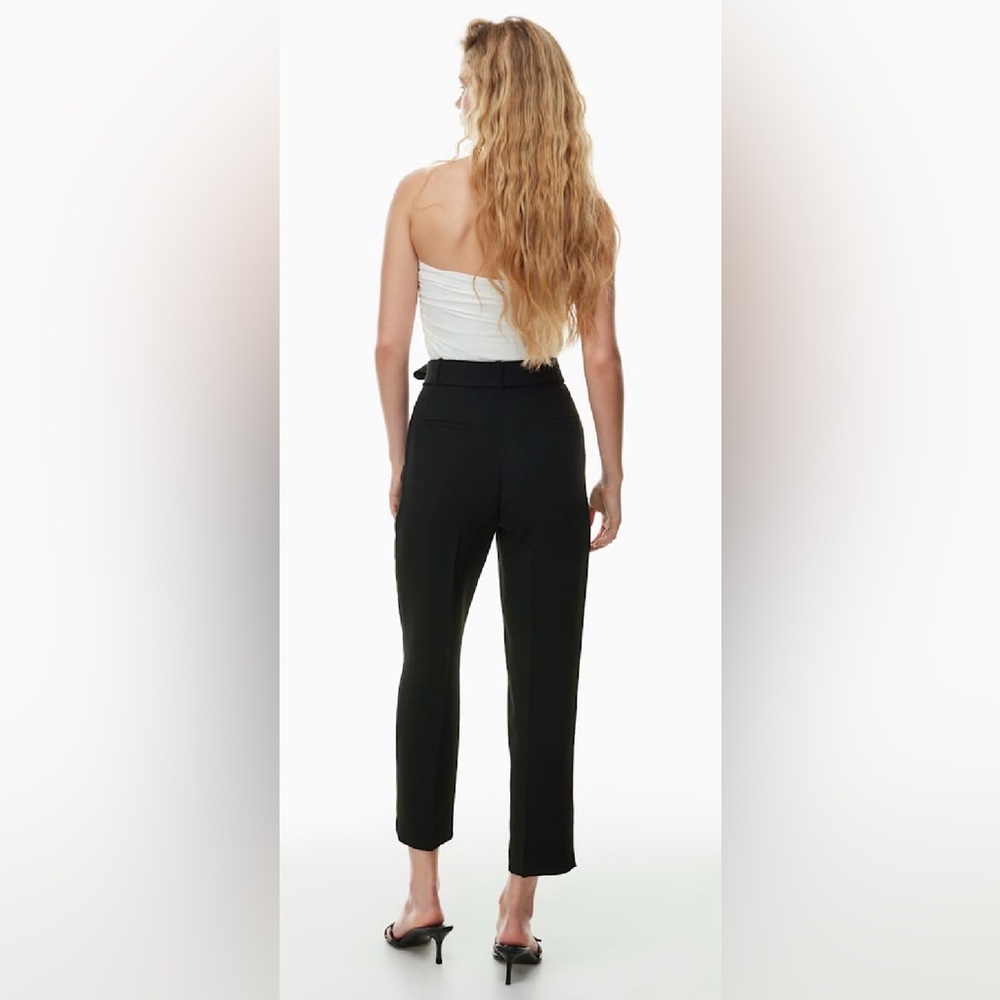 Wilfred (Aritzia) $148 Tie-Front Ankle Pant in Comet Grey Size 6 w/ belt EUC - Picture 5 of 16